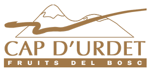 Cap d'urdet